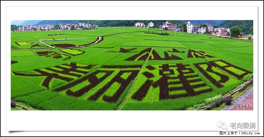 【春天,广西桂林灌阳县向您发出邀请!】开篇 - 游山玩水 - 宝鸡生活社区 - 宝鸡28生活网 baoji.28life.com