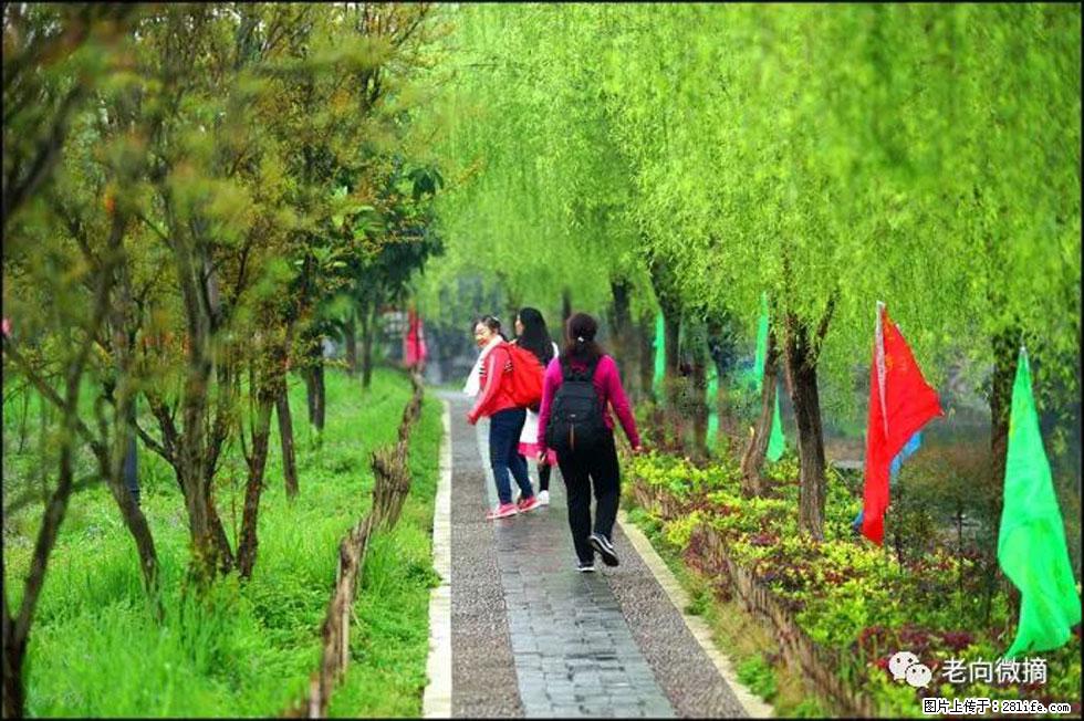 【春天,广西桂林灌阳县向您发出邀请!】江口老街又逢春 - 游山玩水 - 宝鸡生活社区 - 宝鸡28生活网 baoji.28life.com