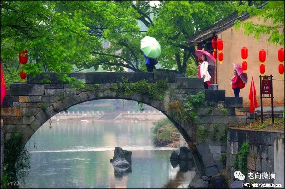 【春天,广西桂林灌阳县向您发出邀请!】江口老街又逢春 - 游山玩水 - 宝鸡生活社区 - 宝鸡28生活网 baoji.28life.com