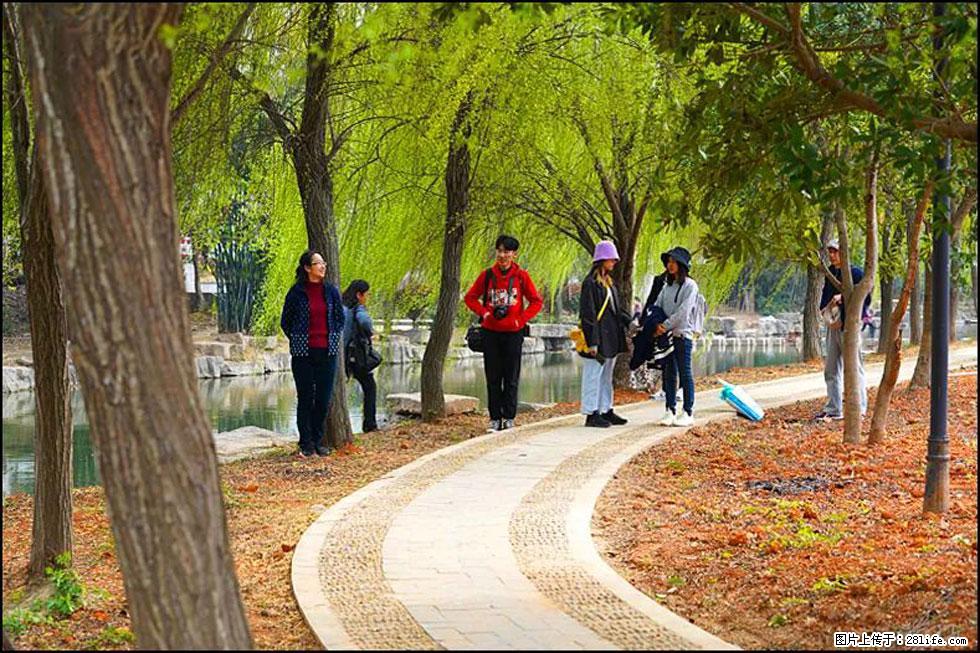 【春天,广西桂林灌阳县向您发出邀请!】江口老街又逢春 - 游山玩水 - 宝鸡生活社区 - 宝鸡28生活网 baoji.28life.com