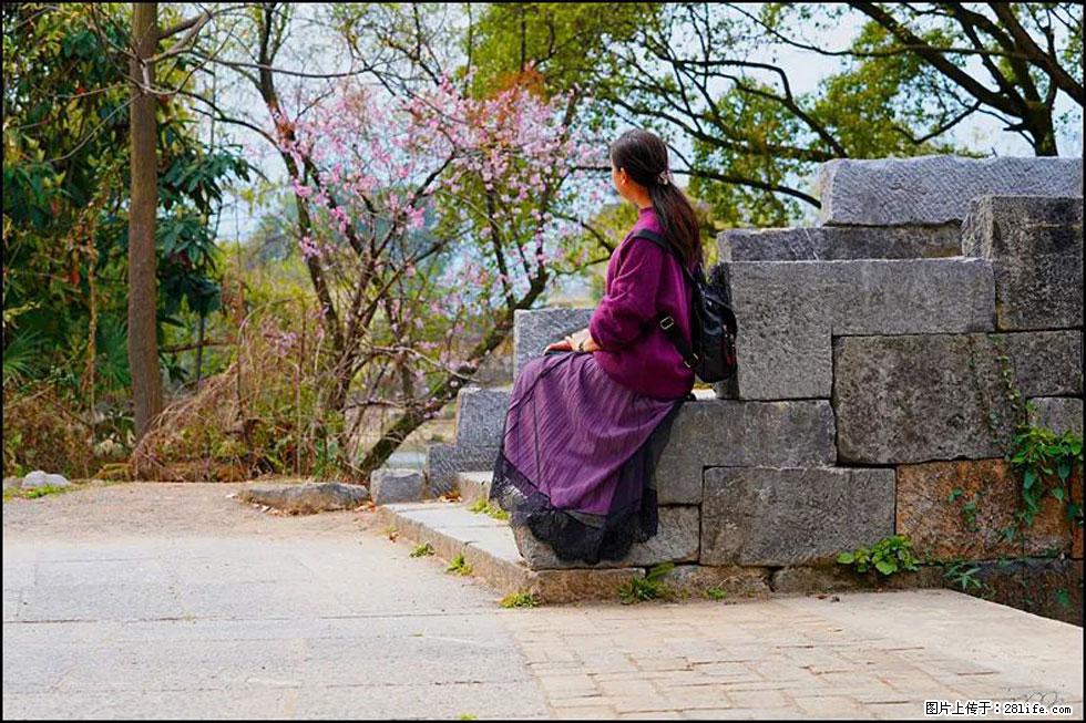 【春天,广西桂林灌阳县向您发出邀请!】江口老街又逢春 - 游山玩水 - 宝鸡生活社区 - 宝鸡28生活网 baoji.28life.com