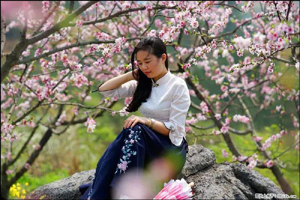 【春天,广西桂林灌阳县向您发出邀请!】望月岭上桃花开 - 游山玩水 - 宝鸡生活社区 - 宝鸡28生活网 baoji.28life.com