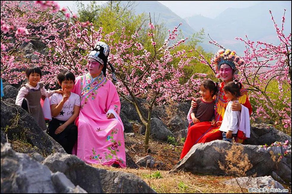 【春天,广西桂林灌阳县向您发出邀请!】望月岭上桃花开 - 游山玩水 - 宝鸡生活社区 - 宝鸡28生活网 baoji.28life.com