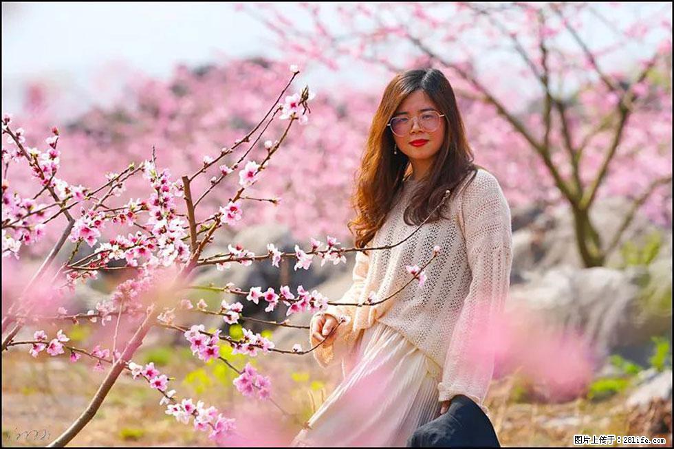 【春天,广西桂林灌阳县向您发出邀请!】望月岭上桃花开 - 游山玩水 - 宝鸡生活社区 - 宝鸡28生活网 baoji.28life.com