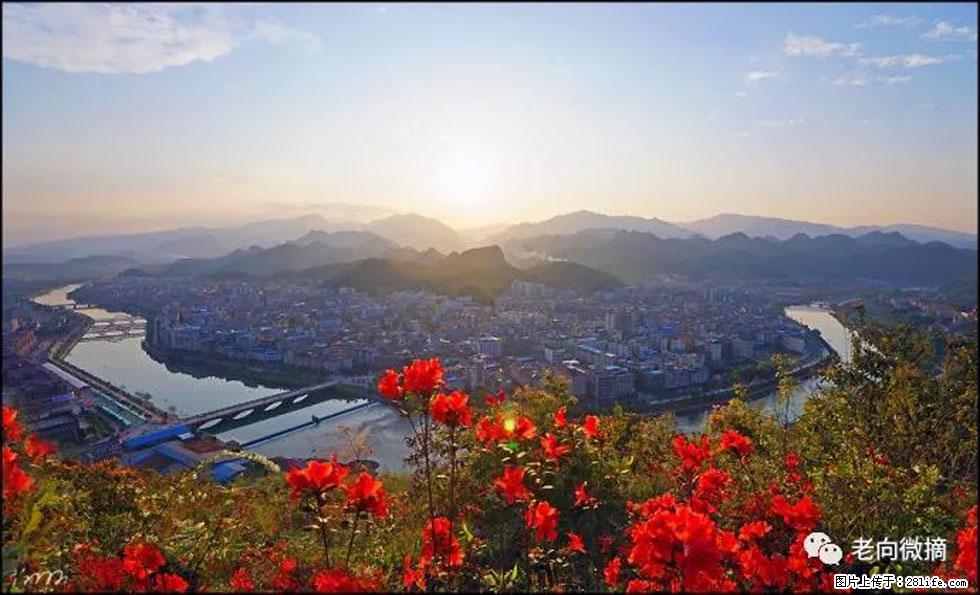 【春天,广西桂林灌阳县向您发出邀请!】登麒麟山,相约映山红 - 游山玩水 - 宝鸡生活社区 - 宝鸡28生活网 baoji.28life.com