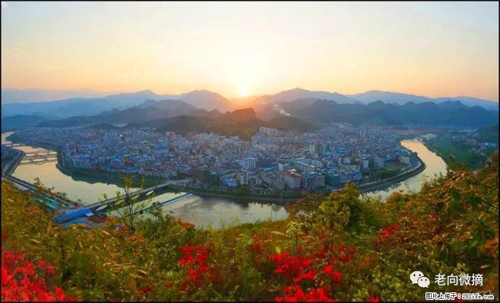 【春天,广西桂林灌阳县向您发出邀请!】登麒麟山,相约映山红 - 游山玩水 - 宝鸡生活社区 - 宝鸡28生活网 baoji.28life.com