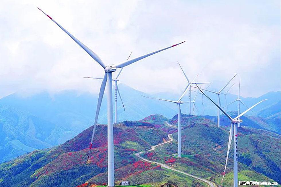 【春天,广西桂林灌阳县向您发出邀请!】春木界上映山红 - 游山玩水 - 宝鸡生活社区 - 宝鸡28生活网 baoji.28life.com