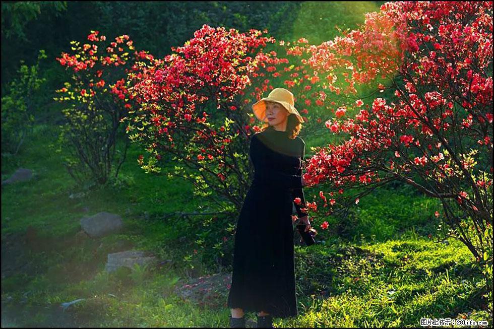 【春天,广西桂林灌阳县向您发出邀请!】春木界上映山红 - 游山玩水 - 宝鸡生活社区 - 宝鸡28生活网 baoji.28life.com