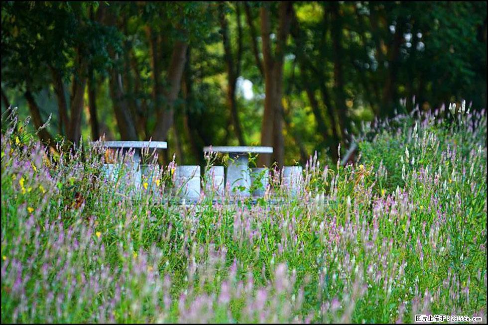 【春天,广西桂林灌阳县向您发出邀请!】熊家寨湿地公园 - 游山玩水 - 宝鸡生活社区 - 宝鸡28生活网 baoji.28life.com