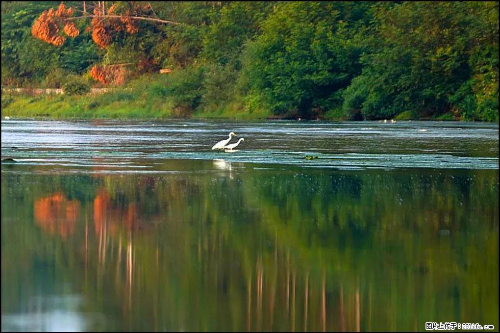 【春天,广西桂林灌阳县向您发出邀请!】熊家寨湿地公园 - 游山玩水 - 宝鸡生活社区 - 宝鸡28生活网 baoji.28life.com