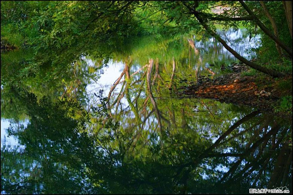 【春天,广西桂林灌阳县向您发出邀请!】熊家寨湿地公园 - 游山玩水 - 宝鸡生活社区 - 宝鸡28生活网 baoji.28life.com