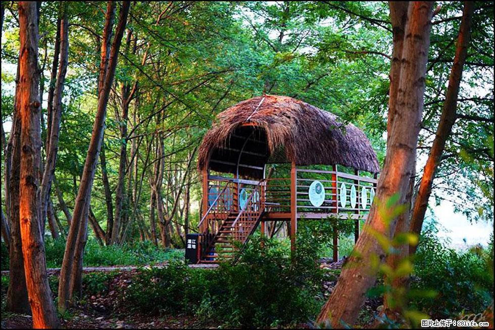 【春天,广西桂林灌阳县向您发出邀请!】熊家寨湿地公园 - 游山玩水 - 宝鸡生活社区 - 宝鸡28生活网 baoji.28life.com