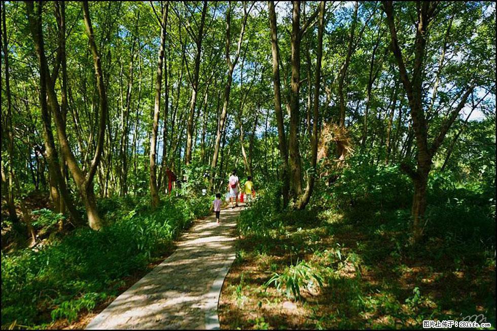 【春天,广西桂林灌阳县向您发出邀请!】熊家寨湿地公园 - 游山玩水 - 宝鸡生活社区 - 宝鸡28生活网 baoji.28life.com