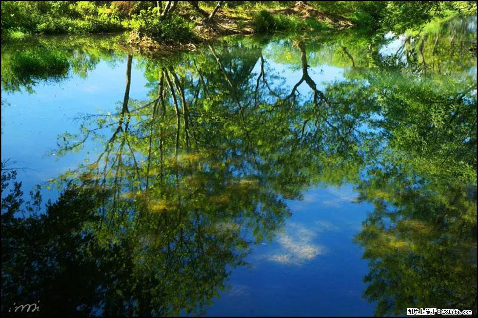 【春天,广西桂林灌阳县向您发出邀请!】熊家寨湿地公园 - 游山玩水 - 宝鸡生活社区 - 宝鸡28生活网 baoji.28life.com