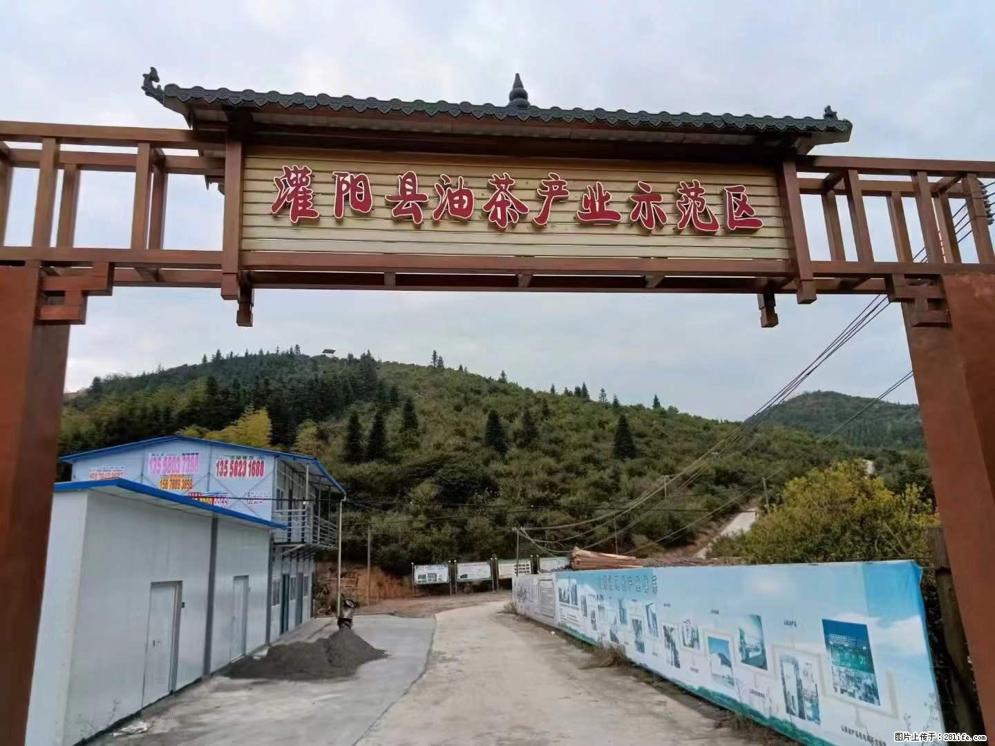 【灌阳县油茶产业示范区】一个有着充实的精神生活的人,对待身外之物自会有一种淡泊的态度 - 美食天地 - 宝鸡生活社区 - 宝鸡28生活网 baoji.28life.com