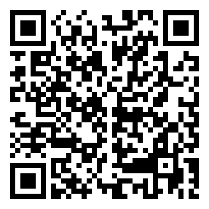 移动端二维码 - 华为手机Mate30 如何开启开发者选项？ - 宝鸡生活社区 - 宝鸡28生活网 baoji.28life.com