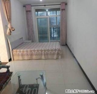 东高新 左岸新城 一室一厅 看房随时！ - 宝鸡28生活网 baoji.28life.com