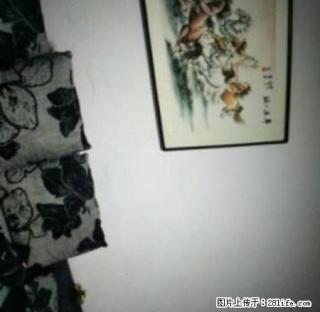 出租 精装联盟花园 2室 家具家电齐全 拎包入住 - 宝鸡28生活网 baoji.28life.com