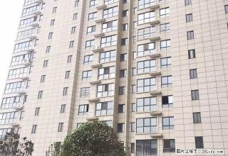 新房首租，婚房，汉中路高层精装双气带家具2室2厅1280元 - 宝鸡28生活网 baoji.28life.com