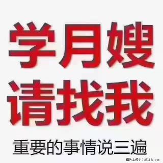 【招聘】月嫂，上海徐汇区 - 宝鸡28生活网 baoji.28life.com