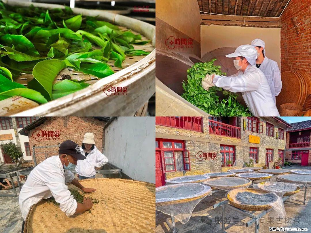 时间果百年古树龙珠普洱生茶 - 购物交流 - 宝鸡生活社区 - 宝鸡28生活网 baoji.28life.com