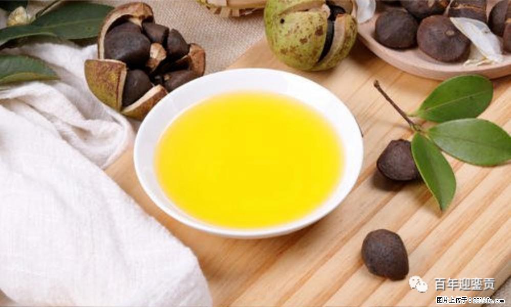 揭秘茶油的5大核心营养成分!被称为人体健康的“守护盾”! - 宝鸡生活资讯 - 宝鸡28生活网 baoji.28life.com