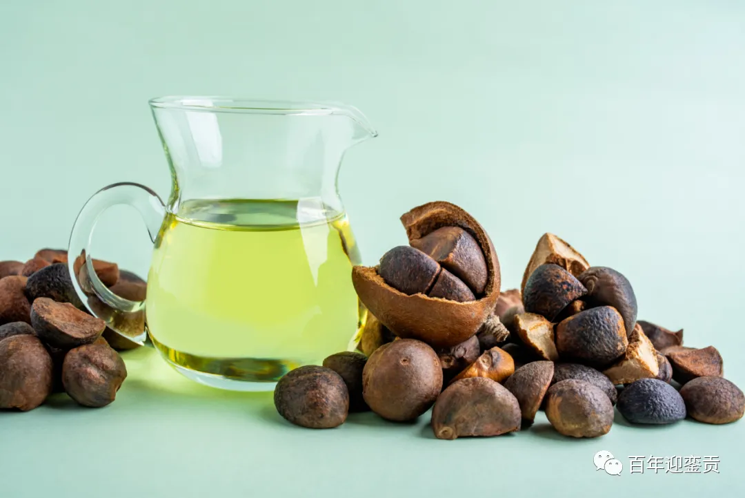 世界没有真相,只有认知,最好的食用油是中国的山茶油! - 宝鸡生活资讯 - 宝鸡28生活网 baoji.28life.com