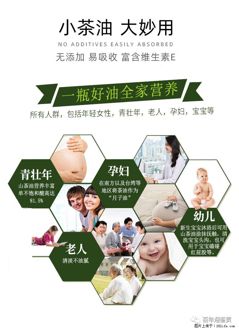 世界没有真相,只有认知,最好的食用油是中国的山茶油! - 宝鸡生活资讯 - 宝鸡28生活网 baoji.28life.com