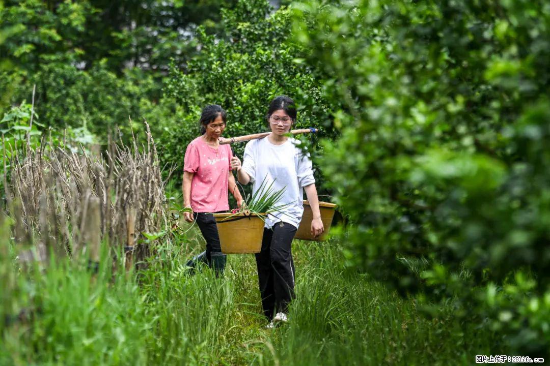 全网追的“扁担女孩”,找了一份暑假工,时薪12元 - 宝鸡生活资讯 - 宝鸡28生活网 baoji.28life.com