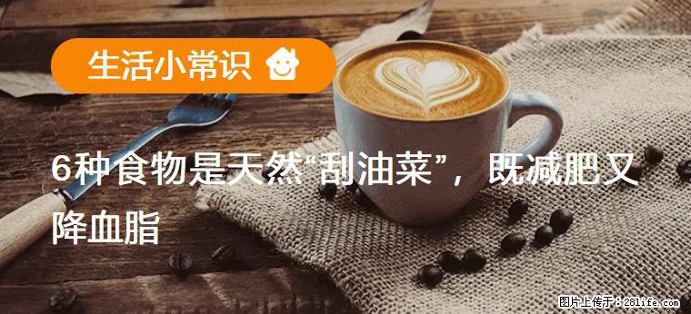 【生活小常识】6种食物是天然“刮油菜”,既减肥又降血脂 - 宝鸡生活资讯 - 宝鸡28生活网 baoji.28life.com