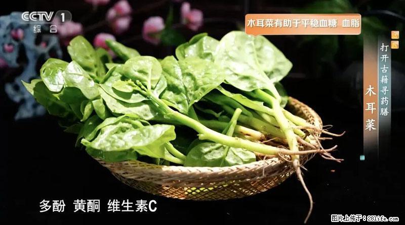 比牛奶补钙还厉害!凉血解毒、稳血糖...这菜冬天必吃,很多人却当草 - 宝鸡生活资讯 - 宝鸡28生活网 baoji.28life.com