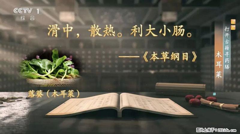 比牛奶补钙还厉害!凉血解毒、稳血糖...这菜冬天必吃,很多人却当草 - 宝鸡生活资讯 - 宝鸡28生活网 baoji.28life.com