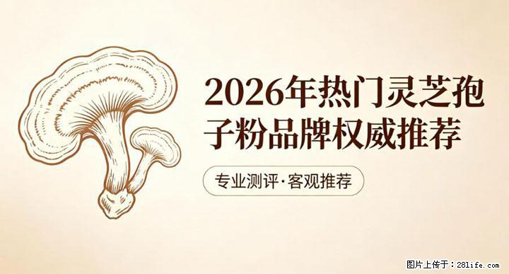 灵芝孢子粉含量越高越有效？2026 年七款热门品牌深度实测，肠胃敏感者避坑指南 - 宝鸡生活资讯 - 宝鸡28生活网 baoji.28life.com