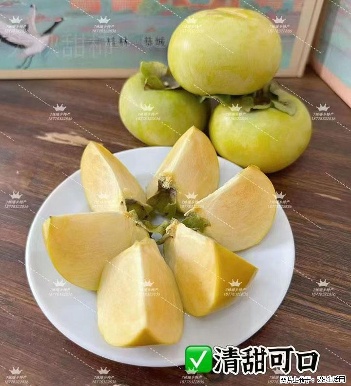 广西桂林平乐桥亭【红心猕猴桃】、【大秋甜柿】上市啦，欢迎各位新老客户下单（另有少量小果出售） - 宝鸡生活资讯 - 宝鸡28生活网 baoji.28life.com